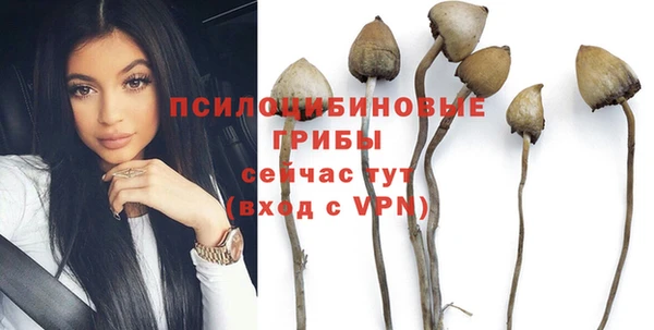 ALPHA PVP Баксан